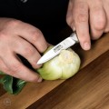 Global GSF-15 japonský kuchársky nôž lúpací na zeleninu 8cm